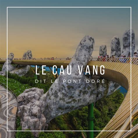 le cau vang isba tp
