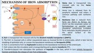 HEMOCHROMATOSIS | PPT