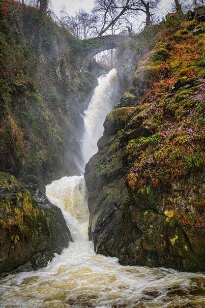 Una Cascada En Medio De Un Bosque Con Una Cascada Al Fondo Foto Premium