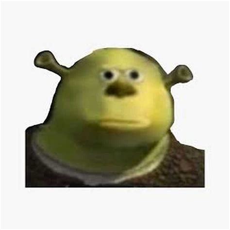 Shrek Meme Phenomenon Shrek Meme For Famous With Donkey Lord Ogre