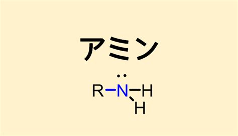 アミンとは？有機化学の基礎 ネットdeカガク