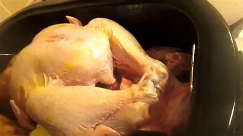 How To Cook A 15 Pound Turkey In A Rival Roaster Oven Youtube