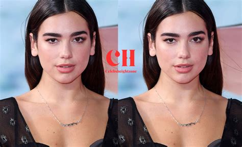 Dua Lipa Height And Weight Celebsheightzone