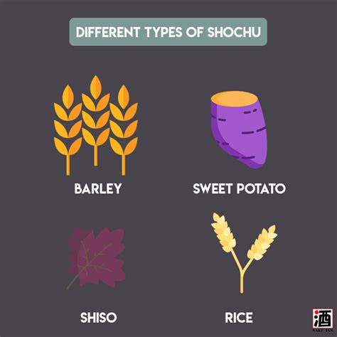 Shochu Guide for Beginners | Sake Inn