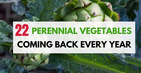 22 Amazing Perennial Vegetables That Will Keep Coming Back Every Year