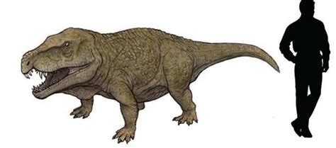 Shansisuchus Wiki Prehistórico Fandom