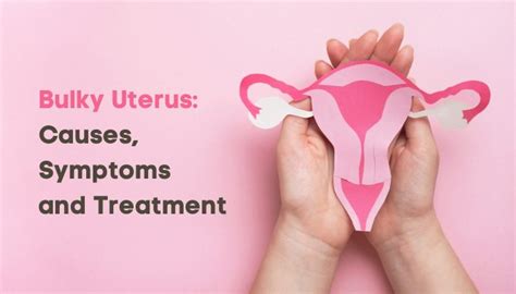 Bulky Uterus Causes Symptoms And Treatment Options