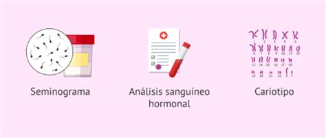 En qué consiste el estudio de fertilidad Qué pruebas de fertilidad hay