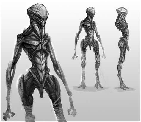 Insectoid Alien Race