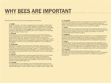 Bees Are In A Rapid Decline And If Not Stopped Could Cause A Major