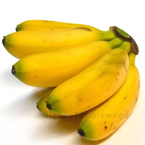 Fresh Food Dole Small Mini Bananas Bunch 3 5 Mini Bananas