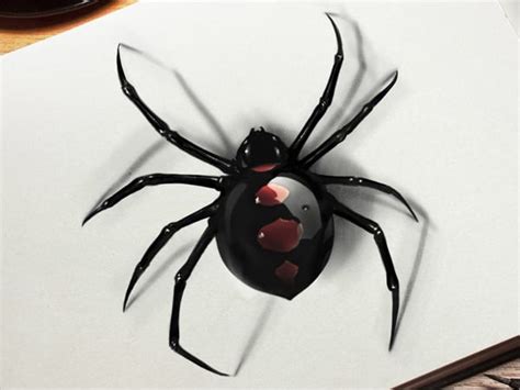 Printable 3d Spider Drawing