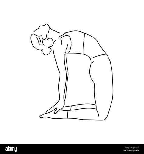 Ustrasana Camel Pose Une Illustration De La Ligne De Couleur