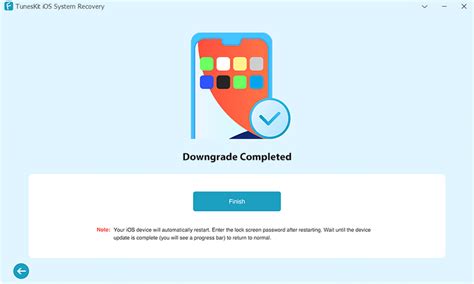 2024 New Guide How To Downgrade To Unsigned IOS