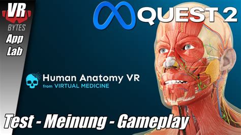 Human Anatomy VR Oculus Quest 2 Meta App Lab Deutsch Erster