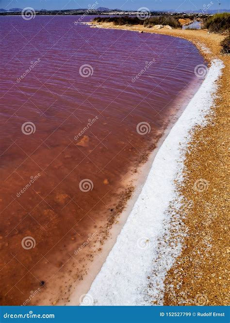 Laguna Salada in Torrevieja, Spain. Pink Salted Lake. Salinas Natural