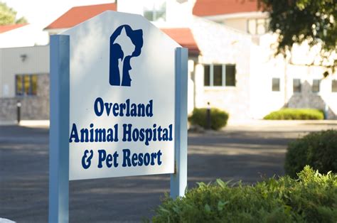 Overland Animal Hospital Updated January 2025 61 Photos And 136