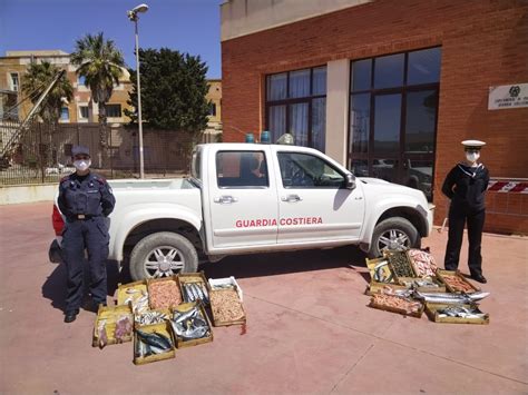 Controlli Al Porto Peschereccio La Guardia Costiera Sequestra Prodotti