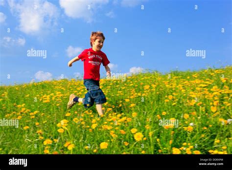 Boy Running Through Field Of Dandelionszuercher Oberland Zuerich