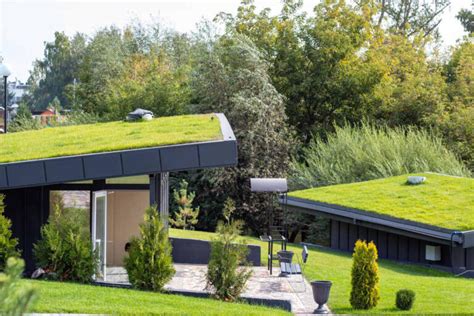 Green Roof Cosa Sono E Quali Sono I Benefici Dei Tetti Verdi