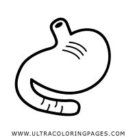 Dibujo De Estómago Para Colorear Ultra Coloring Pages