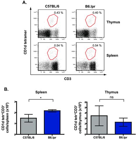 The Number Of Nkt Cells In The Thymus And Spleen Of C Bl And