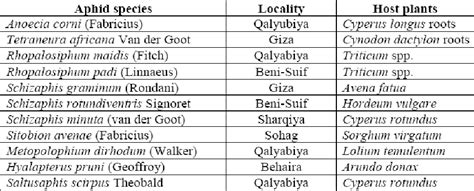 Table From Molecular Fingerprinting Of Certain Cereal Aphids In Egypt