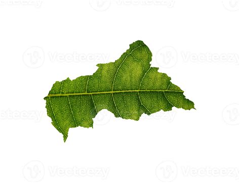 Central African Map Made Of Green Leaves Ecology Concept 36270784 PNG