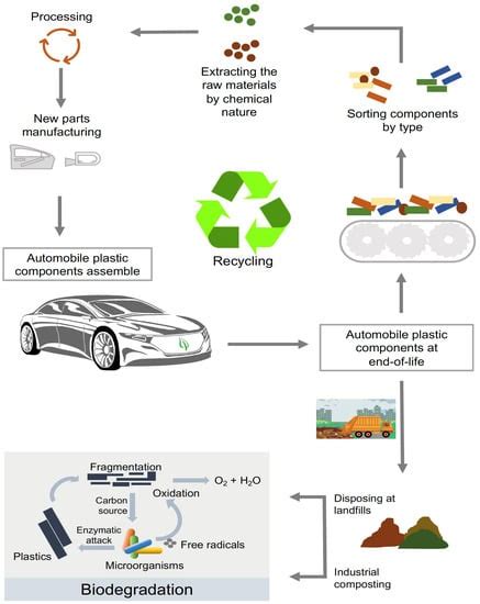 Polymers Free Full Text Engineering Recyclable And Biodegradable