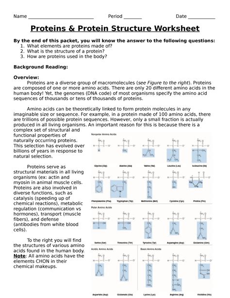 Proteins And Protein Structure Worksheet Name