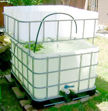 Used Gallon Gallon Ibc Totes Repurposedmaterials Backyard