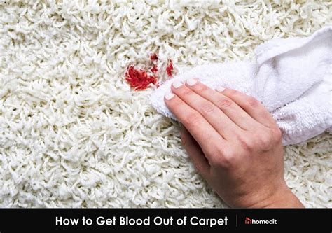 How To Get Blood Out Of Carpet With Hydrogen Peroxide