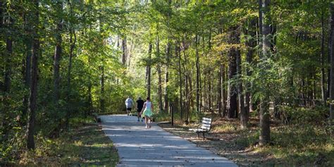 Top Things to Do in Longview, TX | Yogi Bear’s Jellystone Park™: Tyler, TX