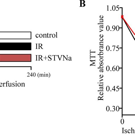 Stvna Inhibited Ir Induced Cell Apoptosis A Confocal Images Of