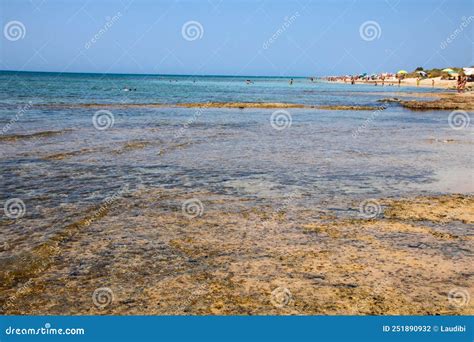 Pescoluse beach stock photo. Image of beach, coast, horizon - 251890932