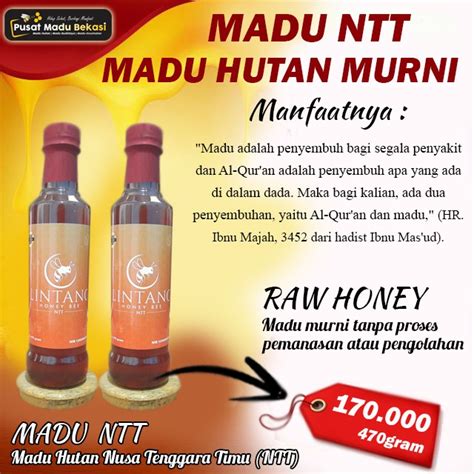 Jual Jual Madu Hutan Murni Ntt Lintang Honey Bee Madu Hutan Asli Dari