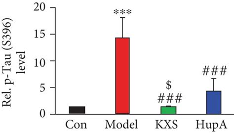 Kxs Inhibited Hyperphosphorylation Of Tau By Activating The