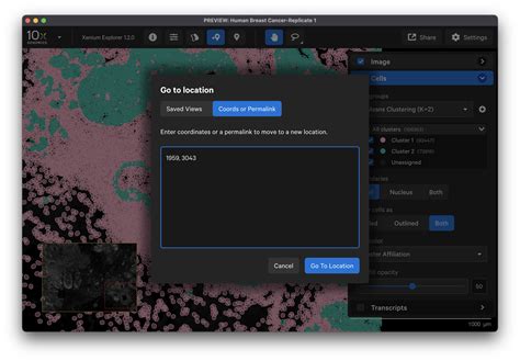 Xenium Explorer Navigation Official 10x Genomics Support