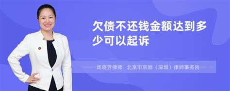 欠债不还钱金额达到多少可以起诉 律师普法 法师兄