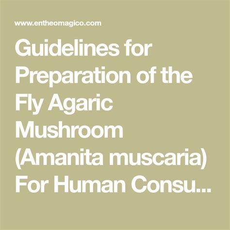 Guidelines for Preparation of the Fly Agaric Mushroom (Amanita muscaria) For Human Consumption ...