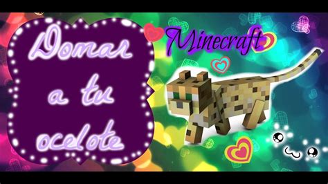 Como Domar Un Ocelote Minecraft Mi Gatito YouTube