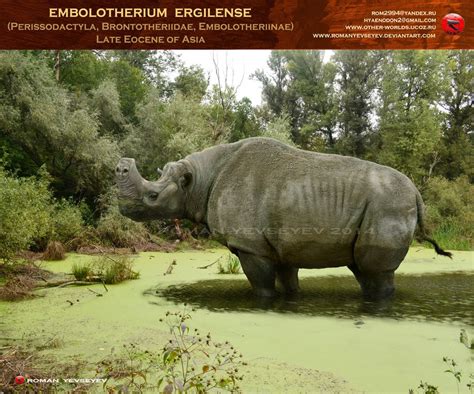 Embolotherium ergilense by RomanYevseyev on DeviantArt