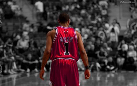 Derrick Rose Wallpaper HD 2014 - WallpaperSafari