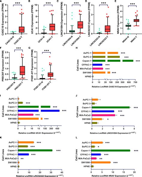 Frontiers Aerial View Of The Association Between M6a Related Lncrnas