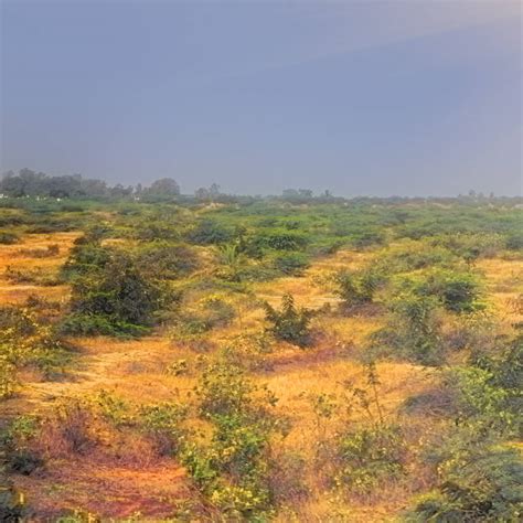 The Deccan Plateau In Telangana