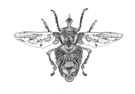 Rosalind Monks Insect 4 A1 594x841 Mm Doodles Zentangles Zentangle Art Doodling Fauna Bug