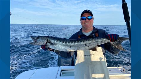 Great Barracuda Breaks Record In Connecticut Fox61