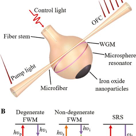 Schematic Diagram Of The Proposed Device A Illustration Of Tunable