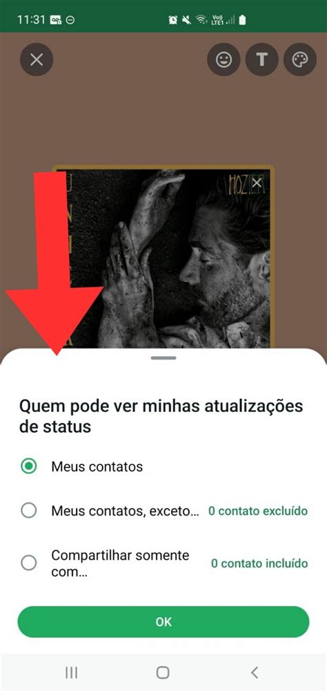 Como Colocar M Sica No Status Do Whatsapp