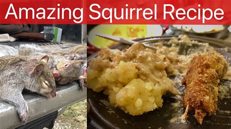 Fried Squirrel Recipe Hunt Clean And Cook YouTube